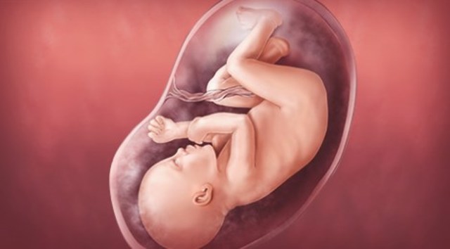 Week Thirty Four: Rapid Growth Continues