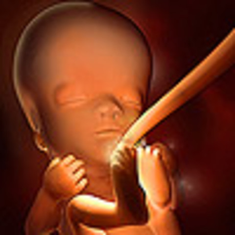 Week 11: Neurons multiply