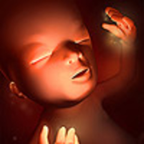 Week 13: Baby flexes and kicks