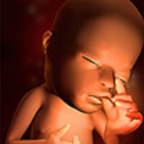 Week 15: Bones and muscles grow