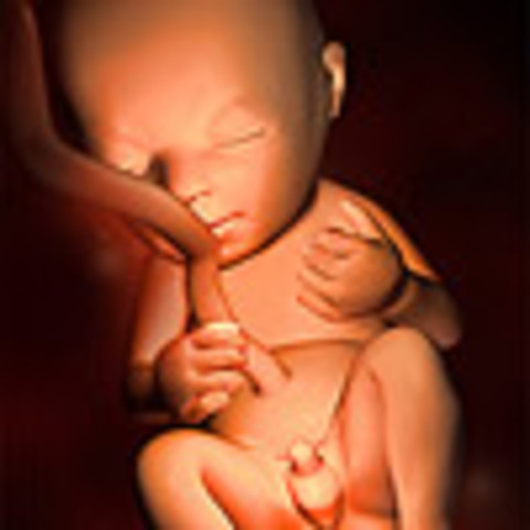 Week 20: The halfway point