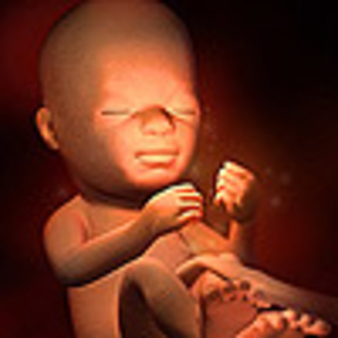 Week 21: Nourishment evolves