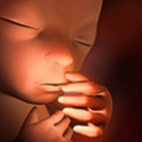 Week 25: Exploration continues