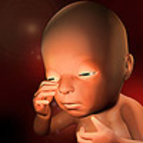 Week 27: Eyes can open