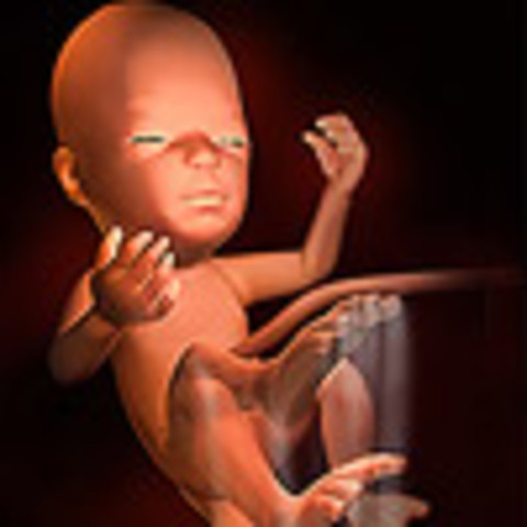 Week 28: May recognize your voice