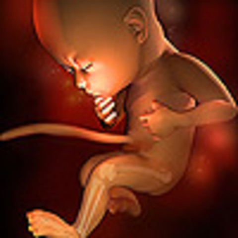 Week 29: Movement is more forceful