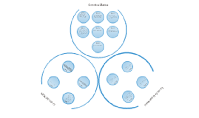 Distribución cromosomica