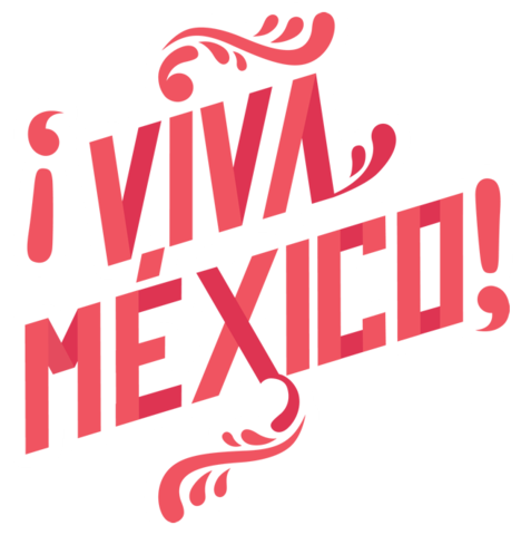 Visepresidente de AIESEC en México