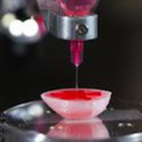 Impresoras 3D: Primer riñón en 3D en funcionamiento.