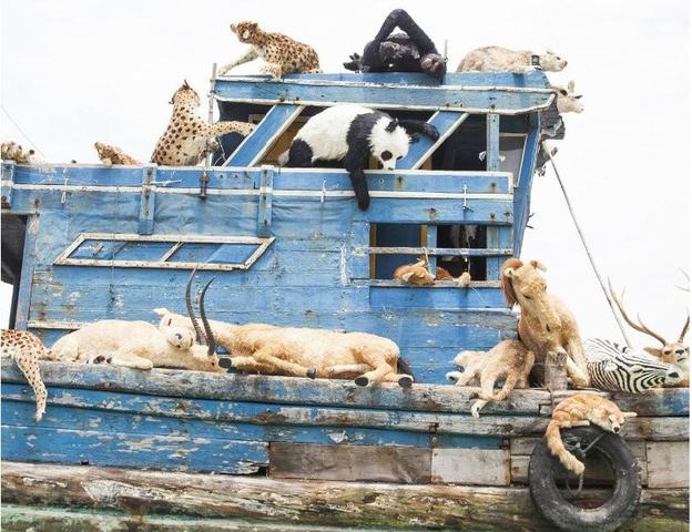 John Davies Set sail