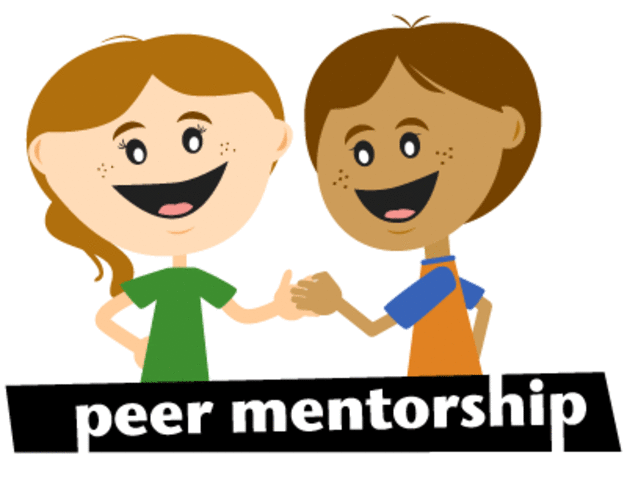 Digital Peer Mentorship