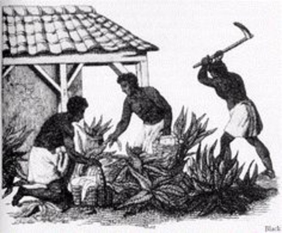 Native American slavery
