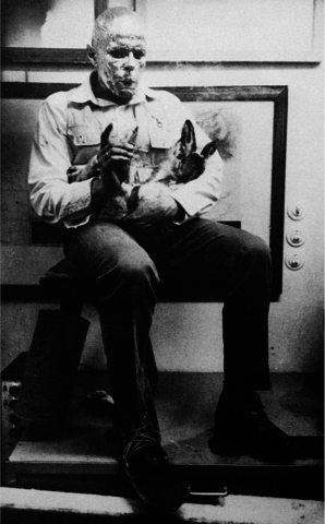 How to Explain Pictures to a Dead Hare