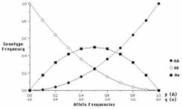 Principio de Hardweinbergs