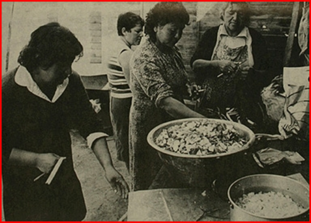 Cisis Econimica Mexicana