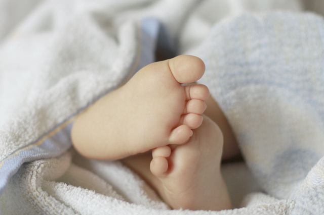 Prenatal Development and Birth