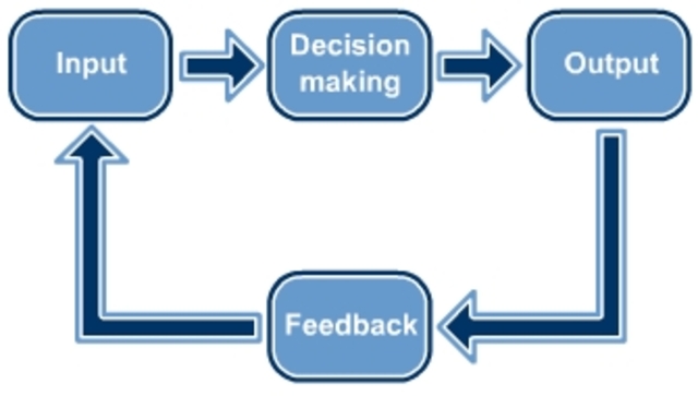 Information-Processing Abilities Increase