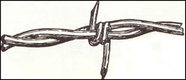 Barb Wire