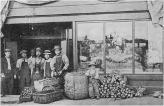 Ishii Corparation fails