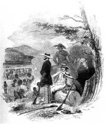 Sir comes back from Charleston without a teacher (Fiction)