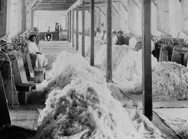 Lowelles improvements