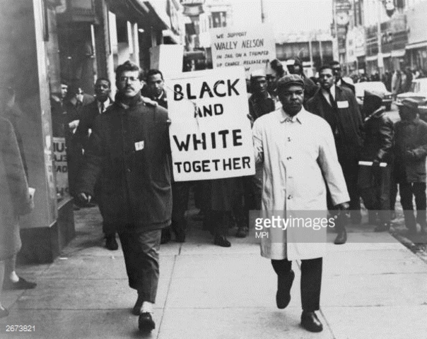people fought against racial discrimination and segeration.