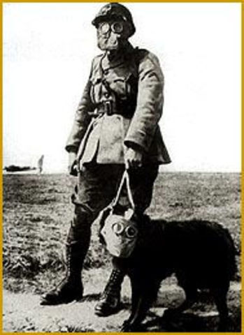 Major events of contamination : Chernobyl and the Gulf War