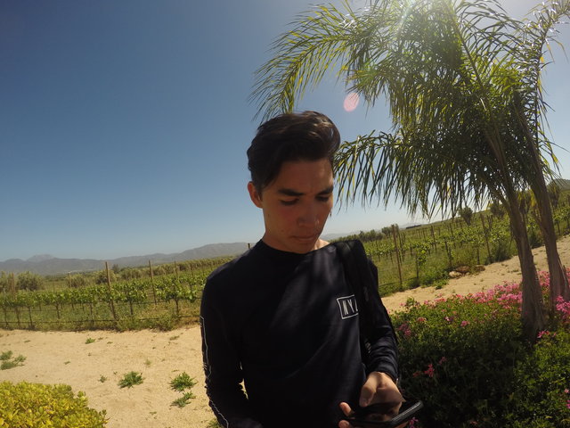 Viaje de Semana Santa