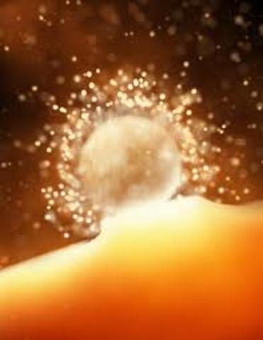 beginning of ovulation