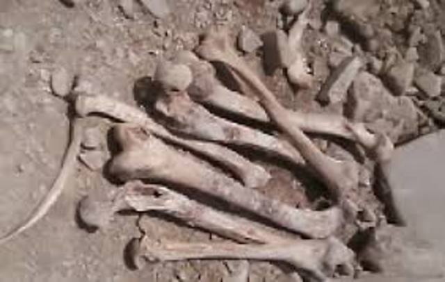 ¿Donde estan los restos?