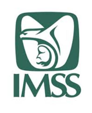 Funcion del IMSS