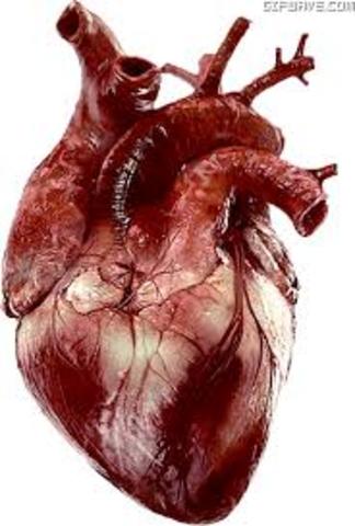 En busca de los restos de Voltaire