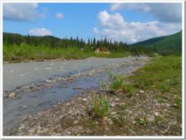 Chris tries to leave the bus.
