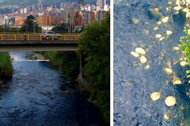 colorante químico en la quebrada Guayabala