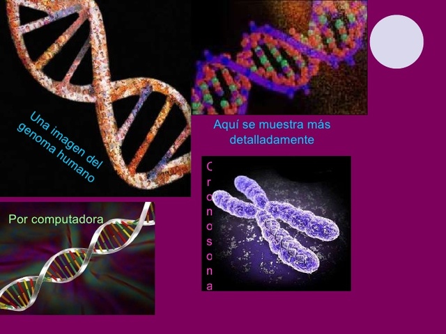 Se secuencia el genoma completo de un organismo vivo.
