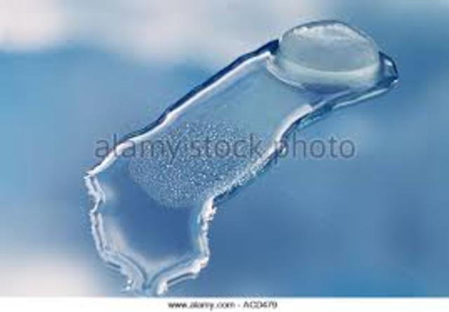 The Dred Scott Decision