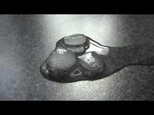 John Brown's Raid on Harper's Ferry