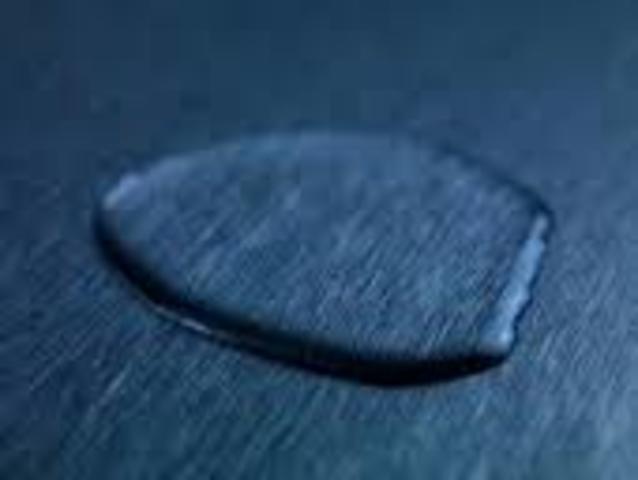 South Carolina's Secession