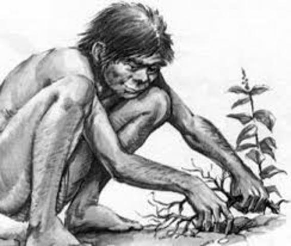 medicina en la prehistoria