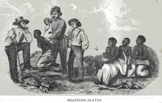 Slaves arrived in America