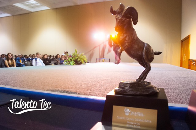 Borrego de Oro Soccer