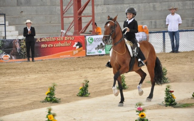 Premiada, primer lugar en concurso FEM