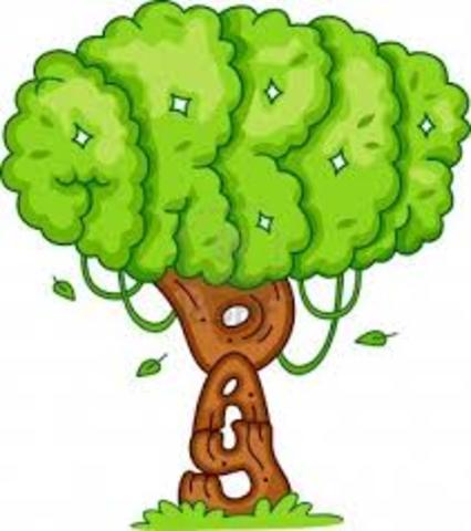 Primera vez la cual se celebró