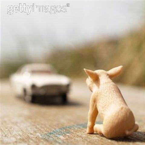 Got my driver's license