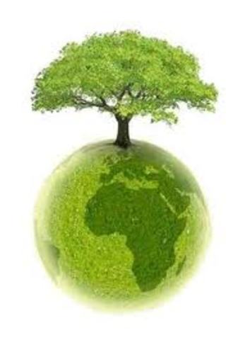 Establecido en españa