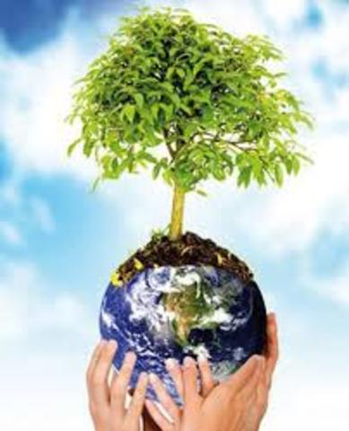 Dia del arból en Colombia