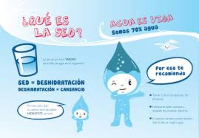 importancia del agua