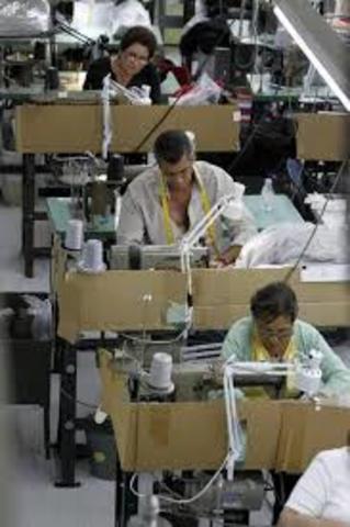 opening of the company Kamex International