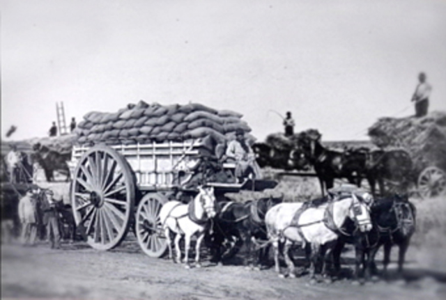 Argentina agroexportadora