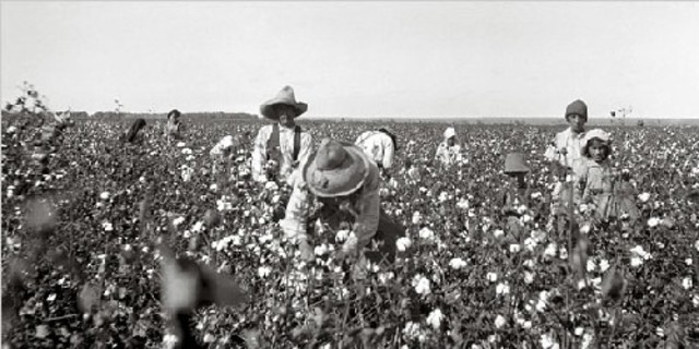 Texas economy suffers